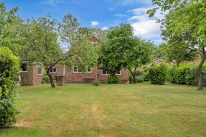 Photo 19- click for photo gallery